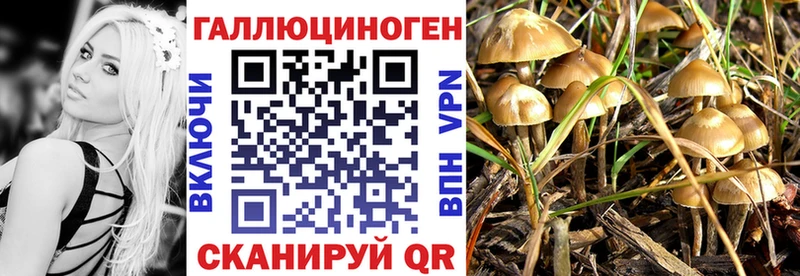 MEGA как зайти  Тюмень  Галлюциногенные грибы мицелий  где найти  